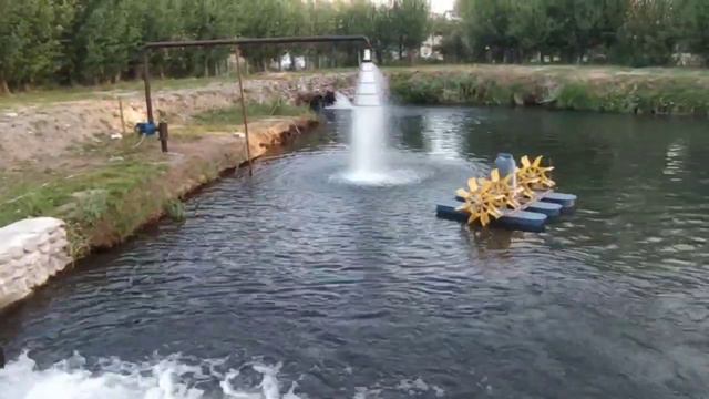 разведение форели. форелевое хозяйство
