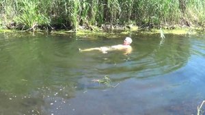 Дорога на Хутор.Живокость полевая."Болото".