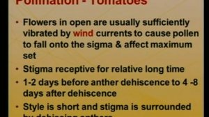 POLLINATION -- VEGETABLE GARDEN -- 1--2 -- TOMATO, PEPPER, EGGPLANT --  Karl Foord -- Mentha Group