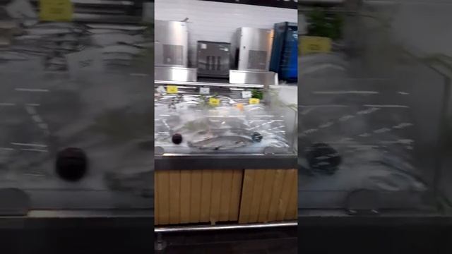 Ультразвуковое увлажнения витрины рыба на льду https://tumanim.ru/ смотреть онлайн