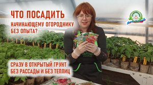 Что посеять начинающему огороднику на своём участке, на майских праздниках?