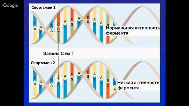 ПЦР-диагностика спортивных возможностей. Практическое применение комплекса «Спортивная генетика»
