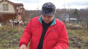 СЕРДЦА НА МАНГАЛЕ | КУРИНЫЕ СЕРДЕЧКИ | CHICKEN HEARTS ON SKEWERS