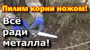 Металлокоп. Нож-пила и муравьинное жилище. Блоки в лесу .Часть 6