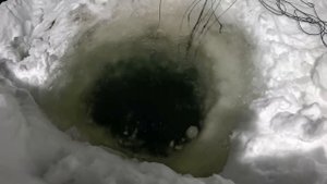 Проверка перемета. Стабильный улов и свежая наживка.