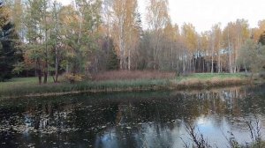 Как сделать, чтобы бумеранг возвращался только добрый