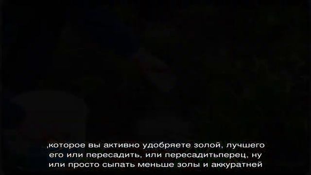 Какие растения нельзя удобрять золой. Не останьтесь без урожая смотреть онлайн