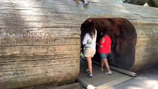 Секвойя, Национальный парк