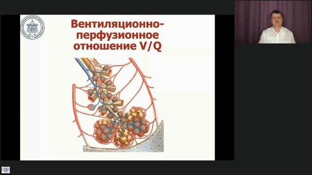 Профессор Лебединский К.М. Клиническая физиология внешнего дыхания