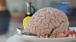 Здоровая диета для здорового мозга (Франция 2019, канал Культура)