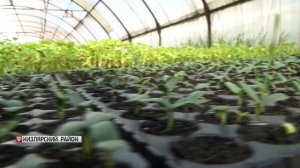 В Дагестане начался прием заявок от граждан, ведущих подсобное хозяйство, на получение господдержки