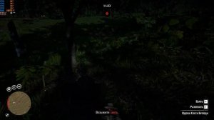 Настройка графики в Red Dead Redemption 2 / online на видеокарте GTX 1050 ti