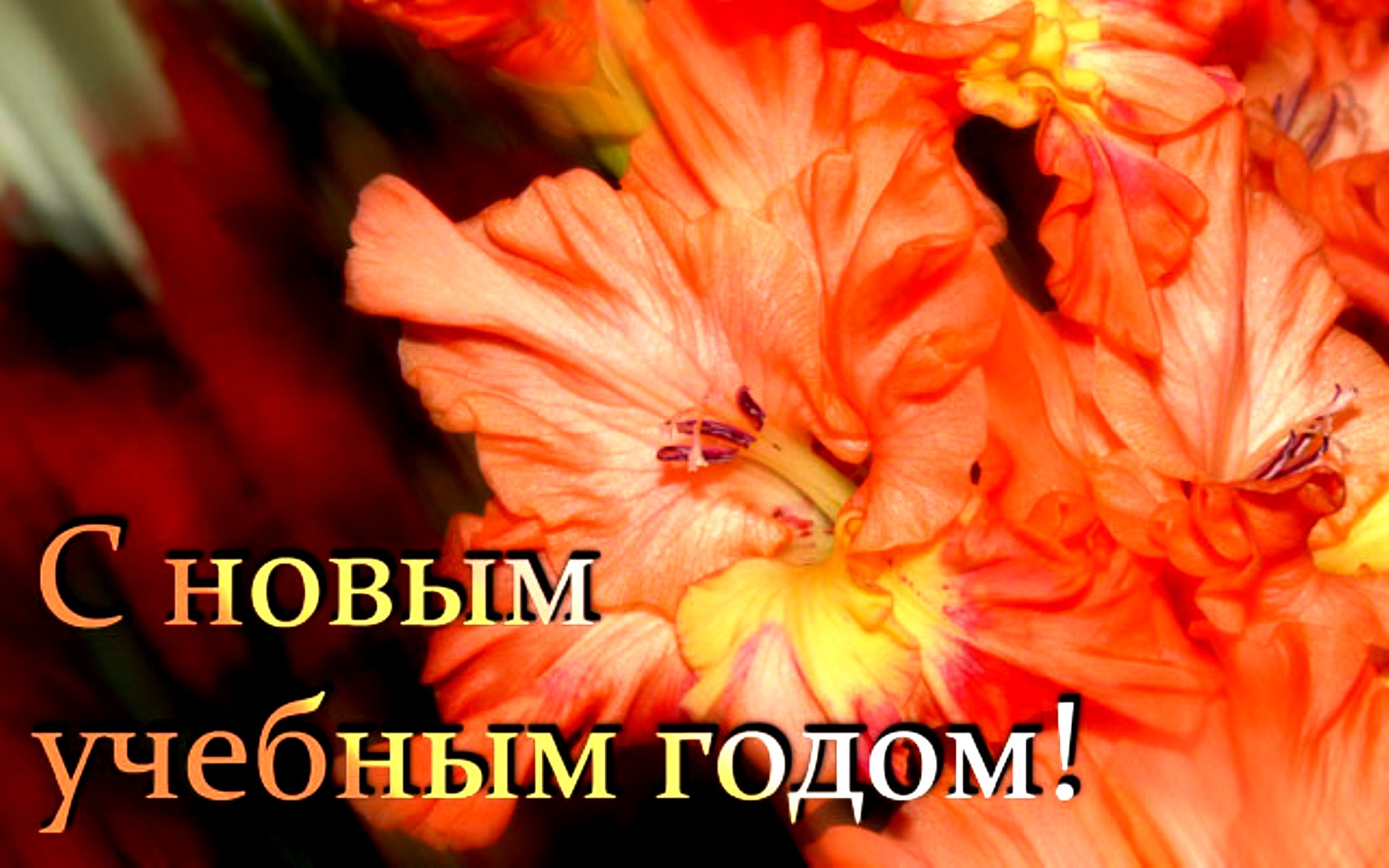 Поздравляю с Днем знаний! Желаю огромного желания учиться и познавать.