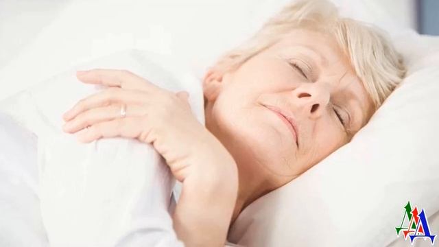 ВАРВАРА 38. Я не хочу дачу. Гуляю с кошкой в лесу в парке - разве этого мало?