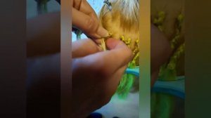 Как заплести афрокосички, афронаращивание пошагово!