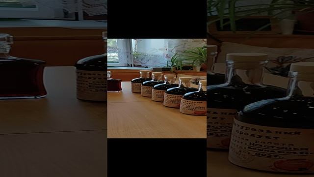 Вишнёвая настойка