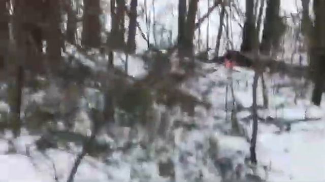 Покатались на санках, спуск с горы в дерево??? смотреть онлайн