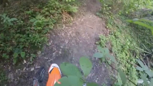 Небольшая покатушка // ромашковский лес смотреть онлайн