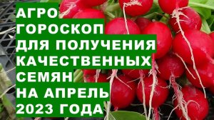 Агрогороскоп для получения качественных семян в апреле 2023 года