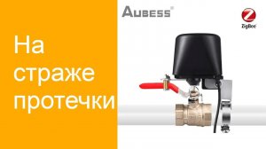 Умный клапан и умный дом на страже протечки.