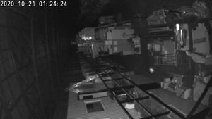 Ночной мотылек, попавший в поле зрения камеры ночного видения.