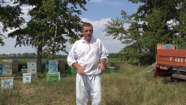 Перевез пчел в поле . Жара +41.О том как я кочевал с пчелами.