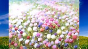 Юрий АНТОНОВ(1975) - У берез и сосен(art-video)