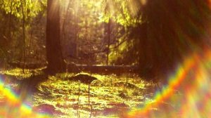 На свободу из тюрьмы трехмерной матрицы