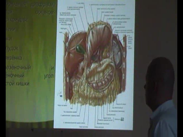 Семинар ВИСЦЕРАЛЬНАЯ ОСТЕОПАТИЯ 2 ВО2_06 смотреть онлайн
