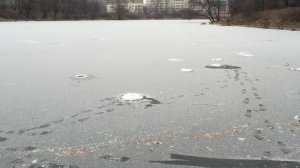 Первый выход на лёд в Москве