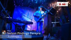 Nelson Pindingo Pereyra - Pindingo