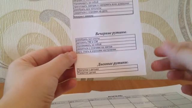 FLYLADY система уборки и закупки продуктов смотреть онлайн