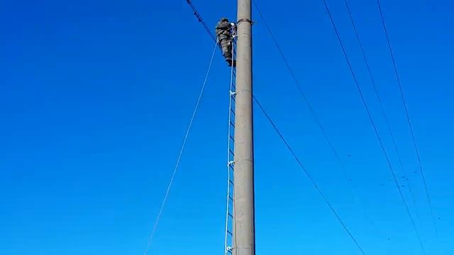 Монтаж хомута для ОКСН на опору ЛЭП 110 кВ смотреть онлайн