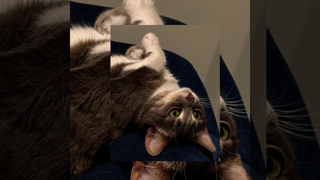 АНИКА, Bushido Zho, Aarne - Тесно speed up смотреть онлайн