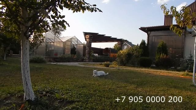 Пасём табун, собираем урожай. смотреть онлайн