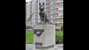 Памятник преданности в г. Тольятти