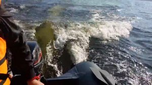 Обкатка HDX 9.9