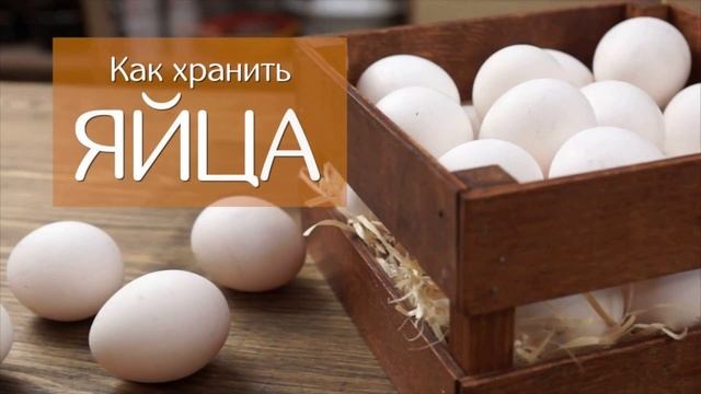 Как хранить яйца Хранение Как надо Как нельзя Как проверить
