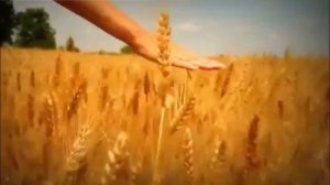 Клип Я СВОБОДЕН-ремикс.Россия-Родина моя!