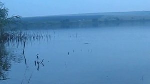 Карп. Пруд Аряш