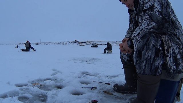 Ловля карася зимой смотреть онлайн