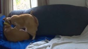 Не грусти, друг!