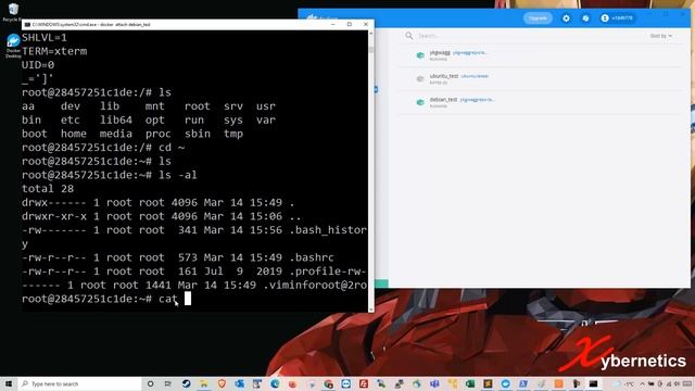 How to Set Permanent Environment Variable In Debian смотреть онлайн