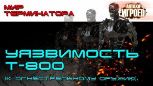 Уязвимость Т-800. Мир терминатора [ИГРОЕД].mp4