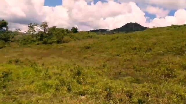 Yamaha Serow 225 | XR 200 | CRF 150L | KLX 150 Trail смотреть онлайн