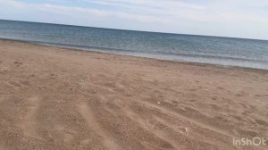 Удаление, перенос и изменение поставки на вайлдберриз за сутки до даты. Штрафы и наказания