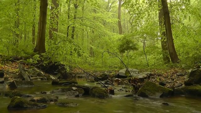Sounds of Nature. Water Noise. Birdsong. Звуки природы для релаксации и медитации.