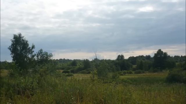 Жизни нитка тянется. #АлекЦей смотреть онлайн