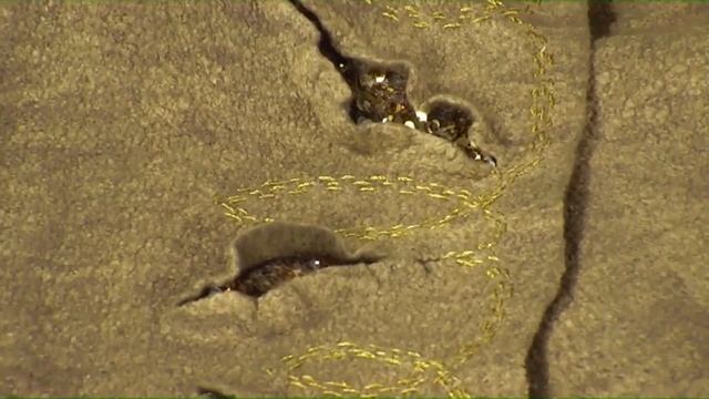 Может ли войлок быть современным? смотреть онлайн