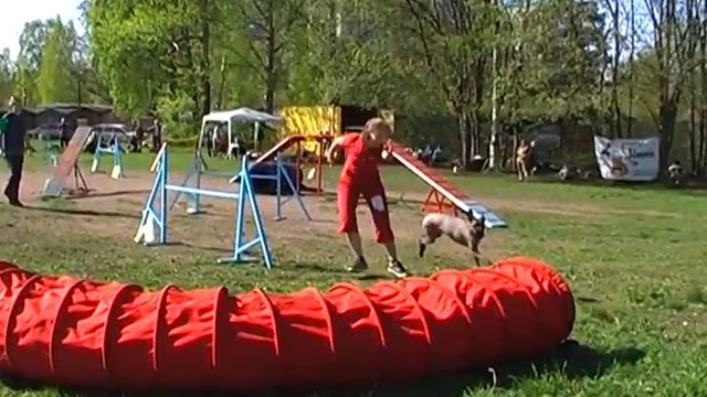 Чемпионат Северо-Западного ФО. Финал. S, Med смотреть онлайн